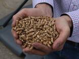 Hochwertige Din Holzpellets - фото 2