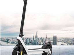 Hochwertiger elektronischer 36-V-10-Zoll-350-W-Kick-E-Scooter