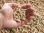 Wood pellets EN plus A1/A2 Manufacturer 500 tons p. m. EU EXPORT - фото 1