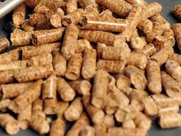 Kiefernholzpellets - Holzbriketts