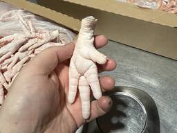 Hühnerpfoten Klasse A 30 Export nach China