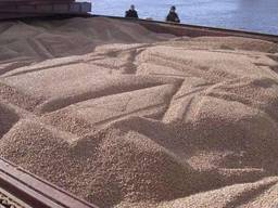 Industrial wood pellets