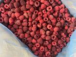 IQF raspberry - photo 1