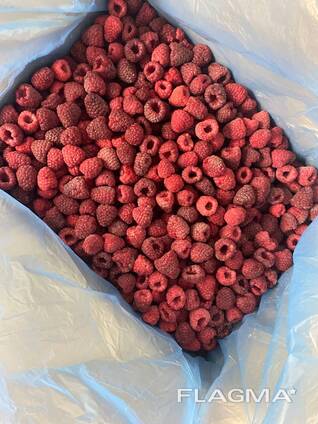 IQF raspberry
