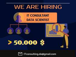 IT Consultants / Data scientists