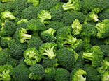 Broccoli cabbage from Uzbekistan - photo 1