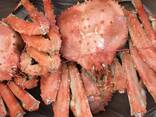 High Quality Red King Frozen King Crabs For Sale/ Blue Swimming crabs/ Mud Crabs - фото 1