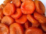 Курага из Узбекистана - фото 2