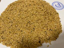 Flachs golden (gelb)