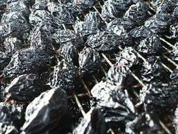 Линия подготовки сливы, сушка, для производства Чернослива