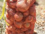 Onions from Uzbekistan - photo 3