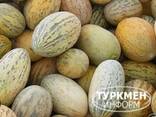 Melone - фото 1