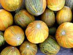 Melonen und Wassermelonen