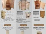 Mini-Sauna für zu Hause, tragbare Sauna, Sauna für den Balkon einer Wohnung - фото 3