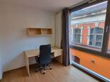 Möbliertes 1-Zimmer Apartment in Erlanger Innenstadt - фото 2