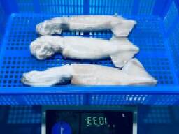 Мороженные рыба и морепродукты в Германию от производителя из КНР