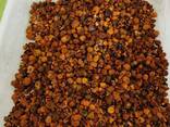 Natural Cattle/Ox Gallstones - фото 1
