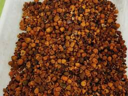 Natural Cattle/Ox Gallstones