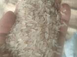 Non GMO organic basmati rice long grain premium rice for restaurants hotels and catering - photo 3