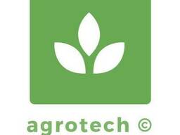 Орехи оптом. Прямая поставка из Узбекистана