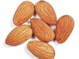 Organic Almond Nuts Super Grade 1 Bulk Supply Roasted Baked Dried Non-GMO Natural Food Use