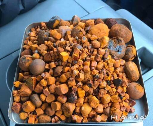 Ox Cow Gallstone