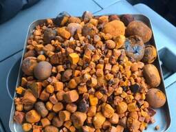 Ox Cow Gallstone