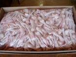 Paws / Chicken Paws / Frozen / Poultry Paws / Chicken Feet - for Sale - photo 1