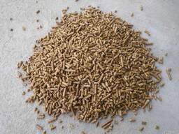 Pelletbrennstoff. Holzpellets