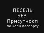 Pesel, песель, песель без присутствия , песель без присутності - photo 1