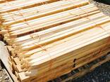 Pine Timber - фото 1