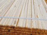 Pine Timber - фото 3