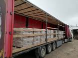 Pini-Kay Ukraine - фото 3