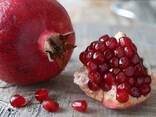 Pomegranate Concentrate 65 Brix - photo 2