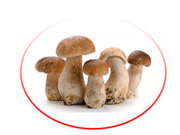 Porcini mushrooms whole frozen