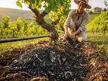 Premium 3-in-1 Biochar Bodenverbesserer | Torffrei &amp; Bio-Aktiv | Carbon-Negative - фото 1