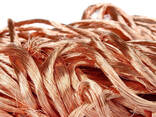 Wholesale Used Suppliers Price Waste Business Buy Other Scrap Copper Wire 99.9% Pure - photo 3
