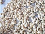 Processed Cashew Nuts Wholesale - фото 1