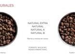 Verkaufe spanischen Bohnenkaffee im Großhandel - фото 1