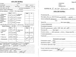 Продам рожь/Verkauf von Roggenernte im Jahr 2020