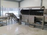 Automatic conveyor systems - фото 1