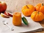 Pumpkin puree concentrate - фото 1