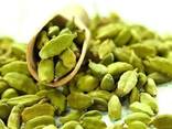 Pure Standard Quality 100% Green Cardamom Wholesale - фото 1