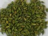Pure Standard Quality 100% Green Cardamom Wholesale - фото 1