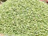Pure Standard Quality 100% Green Cardamom Wholesale - фото 3