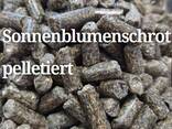 Rapsextraktionskuchen 332 Eur/t - photo 3