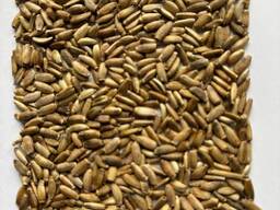 Расторопша