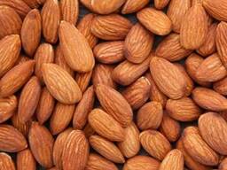 Raw Almond Nuts for Sale