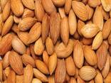 Raw Almond Nuts for Sale - фото 2