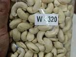 Raw Cashew Nuts/Cashew Kernels - фото 2